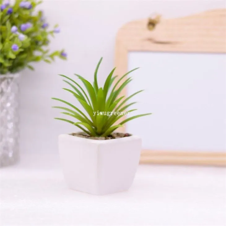 potted succulents artificial plant