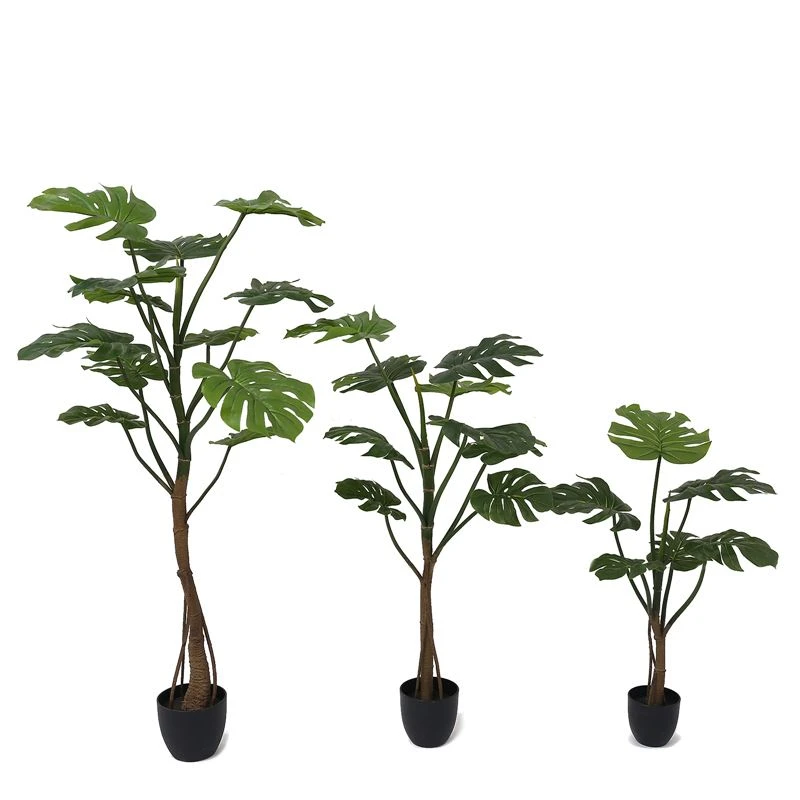 Sut i wneud coeden monstera efelychiedig