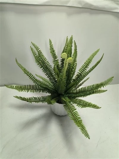 Planhigyn ffug addurn Bonsai Fern Artiffisial